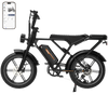 RCB G19 Elektrofahrrad Aran Shop
