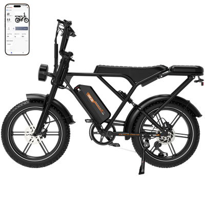 RCB G19 Elektrofahrrad Aran Shop