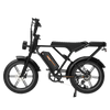 RCB G19 Elektrofahrrad Aran Shop