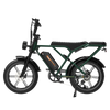RCB G19 Elektrofahrrad Aran Shop