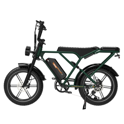 RCB G19 Elektrofahrrad Aran Shop