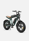 ENGWE M20 Aran Shop