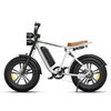 ENGWE M20 Aran Shop