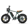 ENGWE M20 Aran Shop