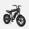 ENGWE M20 Aran Shop
