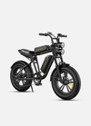 ENGWE M20 Aran Shop