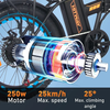 HITWAY BK11 Faltbares Elektrofahrrad - Aran Shop