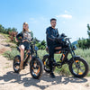 HITWAY BK29S E-Bike mit Doppelbatterie - Aran Shop