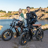 HITWAY BK29S E-Bike mit Doppelbatterie - Aran Shop