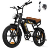 HITWAY BK29S E-Bike mit Doppelbatterie - Aran Shop