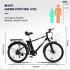 BK3MS Elektrofahrrad Aran Shop