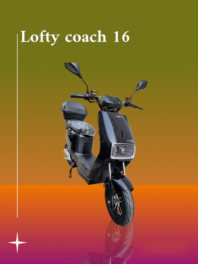 Lofty 16 - Aran Shop