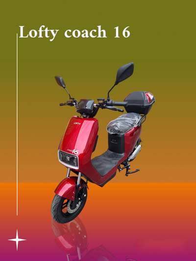 Lofty 16 - Aran Shop