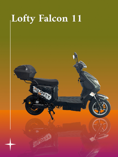 Lofty Falcon 11 - Aran Shop