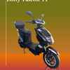 Lofty Falcon 11 - Aran Shop