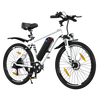 BK15 E-bike 26*3inch - Aran Shop