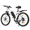 BK15 E-bike 26*3inch - Aran Shop