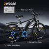 BK15 E-bike 26*3inch - Aran Shop