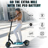 RCB R17 Electric Scooter for Adult - Aran Shop